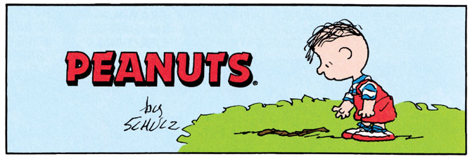 SRVL-129_Peanuts